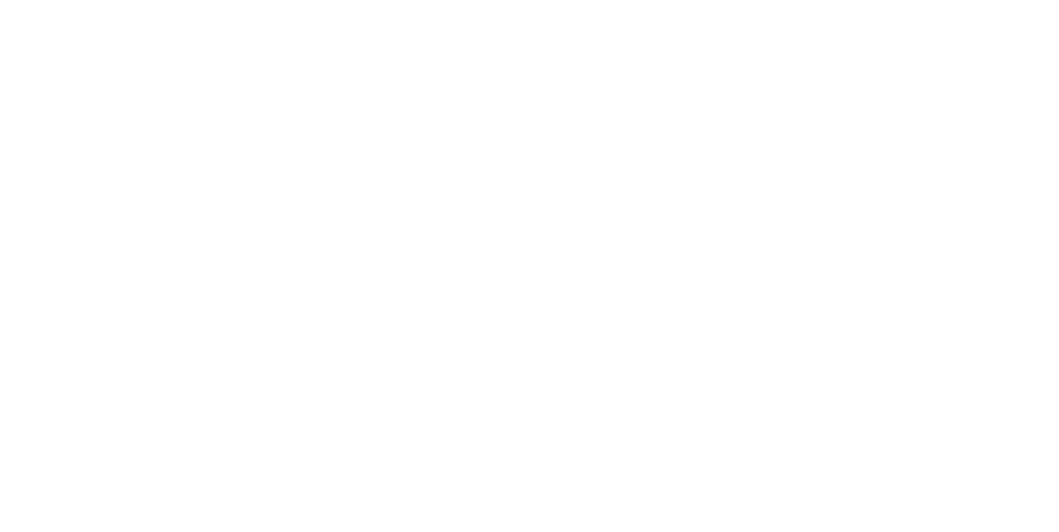 LUPA Solutions Logo